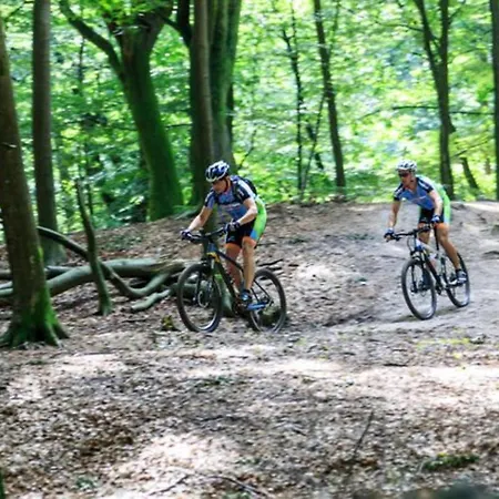 Abs Blokhut Holiday home Putten