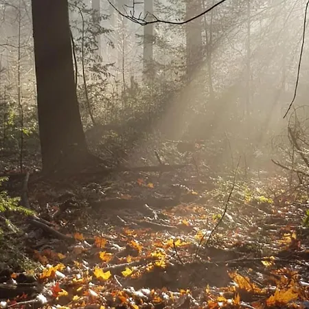 Abs Blokhut Holiday home