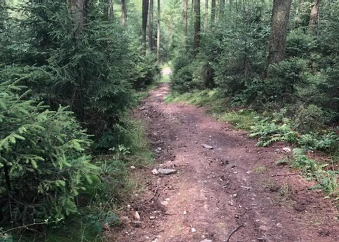 Semesterbostad Abs Blokhut *