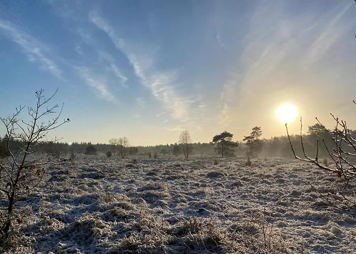 Abs Blokhut Semesterbostad