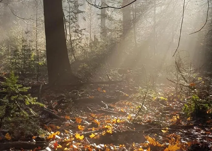 Abs Blokhut Semesterbostad