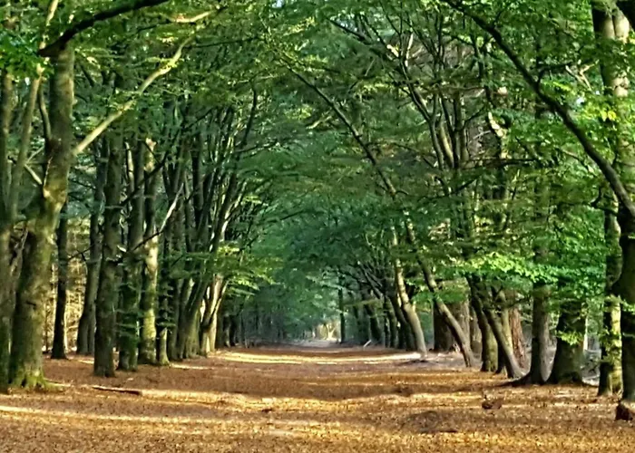 Semesterbostad Abs Blokhut *