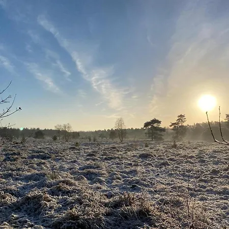 Abs Blokhut Vakantiehuis