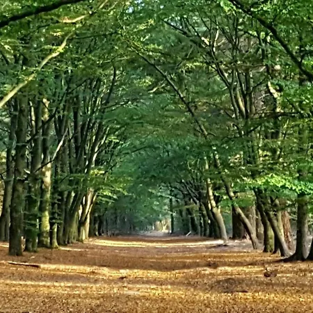 Vakantiehuis Abs Blokhut *